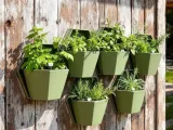 Geometric wall planter for herb gardens-1