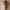 JESUS ON THE CROSS