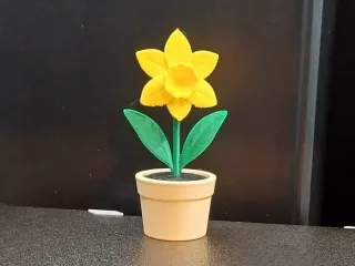 Daffodil Flower Pot