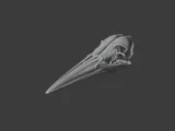 American Bittern Skull-1
