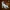 Australian Shepherd Dog - statue - 3D print