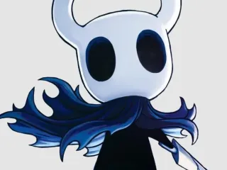 hollow knight