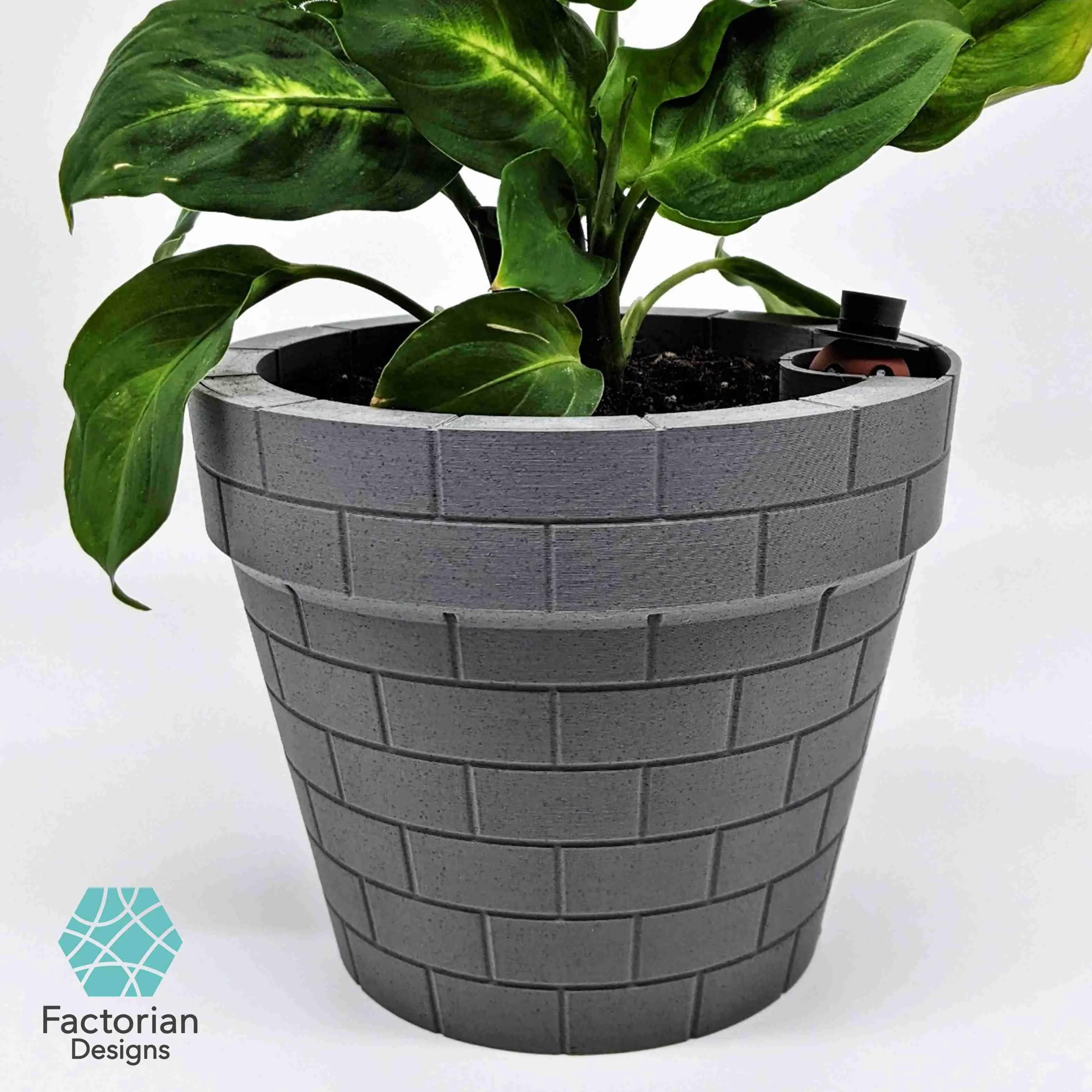 Self-Watering Plant Pot with a Gentleman Earthworm Companion