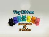 Tiny Kittens-1