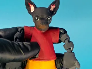 Atomic Chi