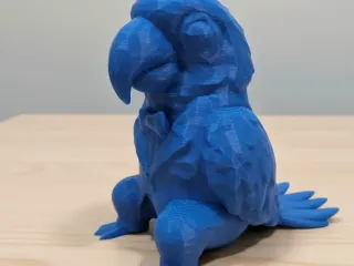 Simple Tuxedo Parrot