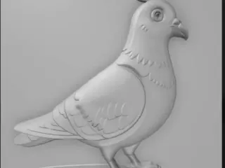 pigeon 2