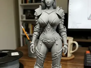 woman in sexy armor