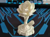 Cyber Rose-5