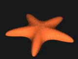 starfish-1