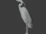 Heron-1