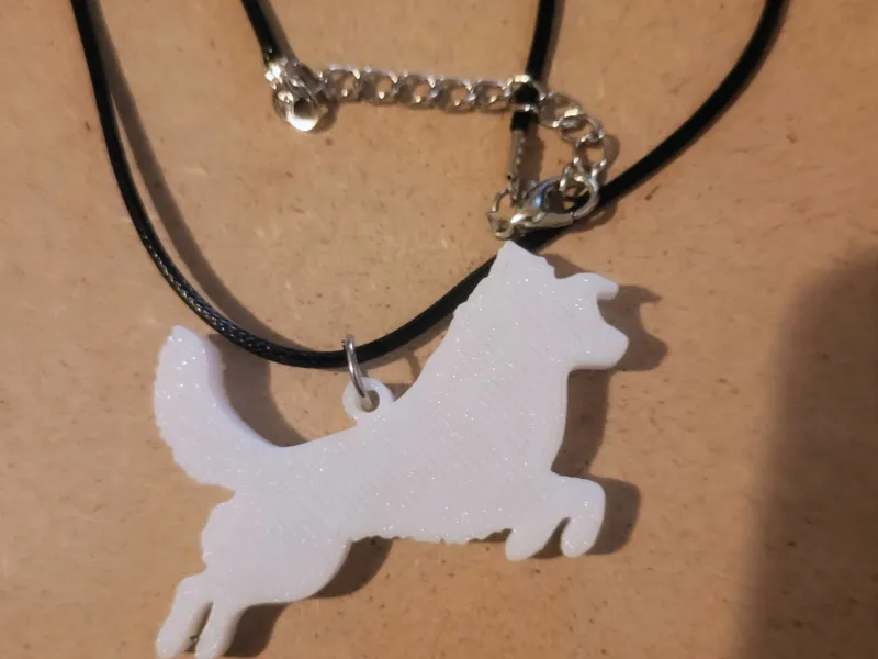 Collection de races de chiens n° 12 - Border Collie