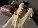 Bone Dragon Skull-1
