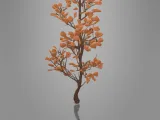 MINIATURE TREE-2