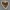 Heart of flowers - for the wall, you can add a photo