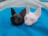 Articulated cat, print-in-place, snap-fit head and tail-4