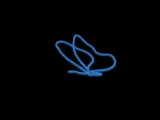 butterfly-1