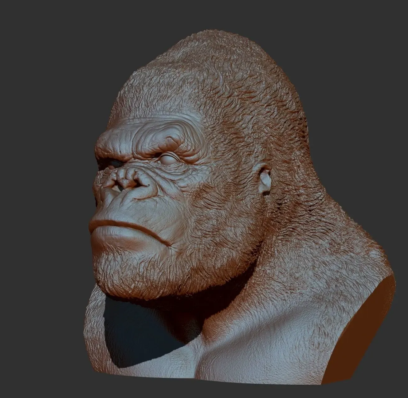King Kong' bust