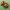 Cute Flexi Pets Sloth (porta-chaves e íman)