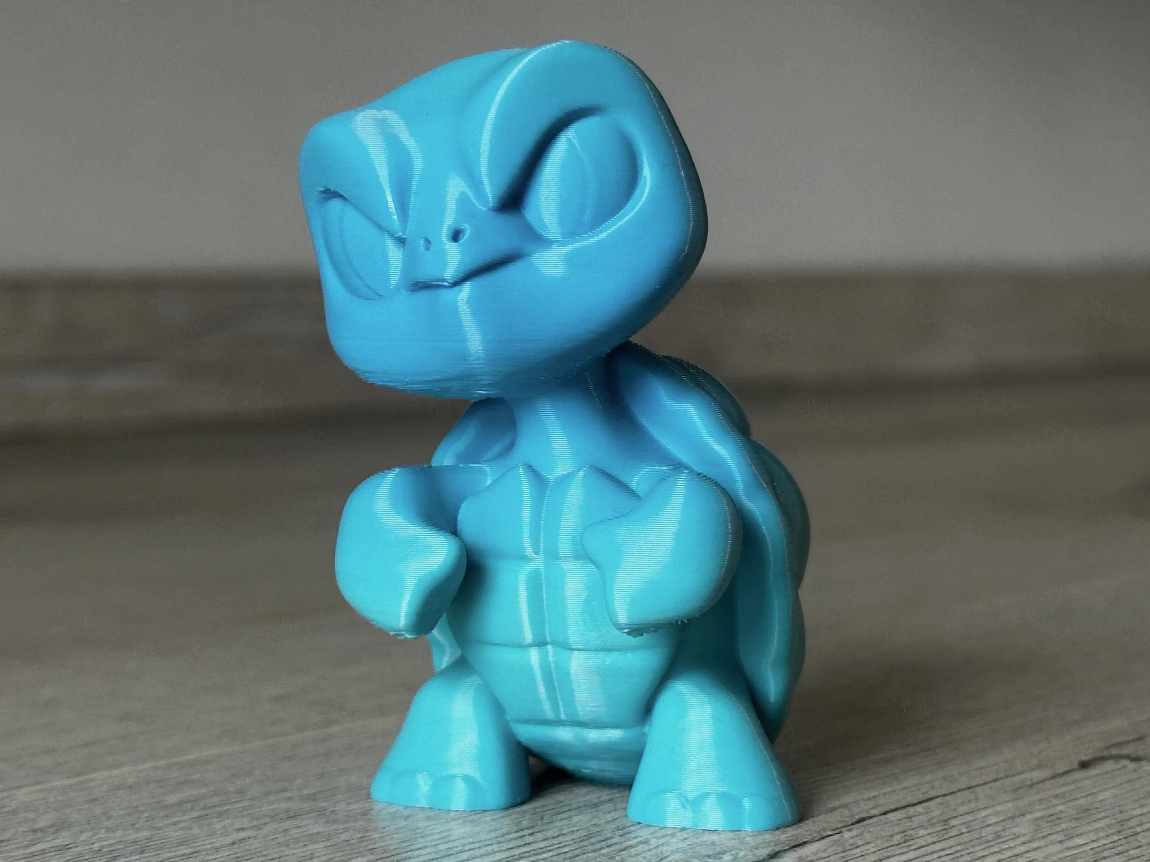 Turtle Max