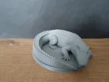 Crocodile / Alligator-3