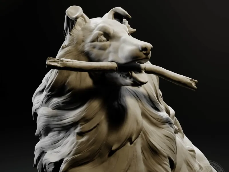 Collie