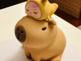 Kapibara-0