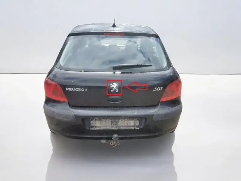 Peugeot 307 logo