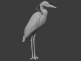 Heron-5
