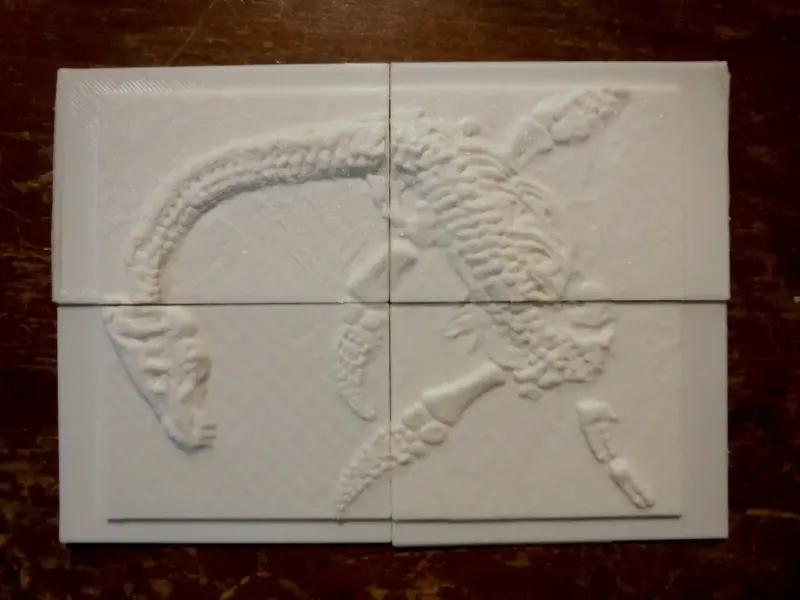 Plesiosaurus-Fossil