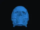 skull -0