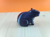 Capibara-1