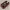 ESP32 Cam plus + OV5640 AF Case