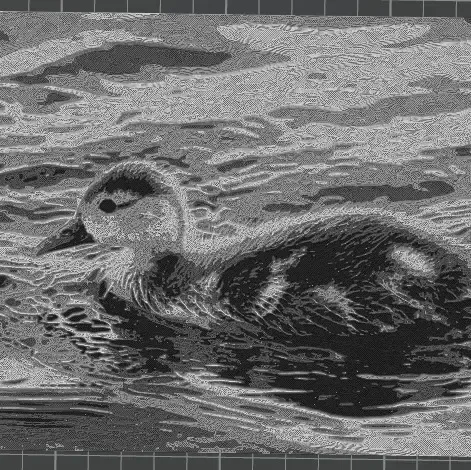 BabyDuck 3D-Picture - Print your Photo