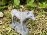 Wolf on the stone-0