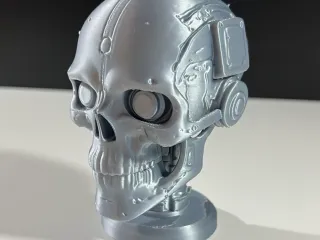 Cyber Skull