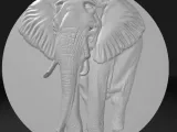 elefant-0