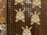 Turtle Cookie Cutter, Biscuit Cutter-1