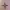 Shuriken 4 Minutes