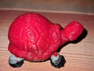 Große Schildkröte