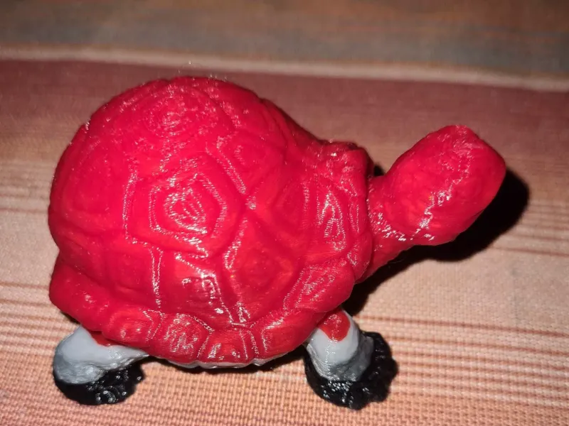 Tortuga grande