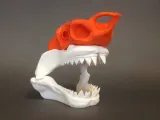 Great White Skull-3
