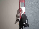 ganchito-1