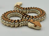 Articulated Rattlesnake | Pre-Painted + Optional Glass Eyes-7