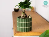 Self-Watering Plant Pot With Bamboo Buddy! Planter STL & 3MF-4