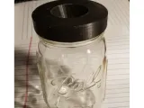 FLY CATCHER-1