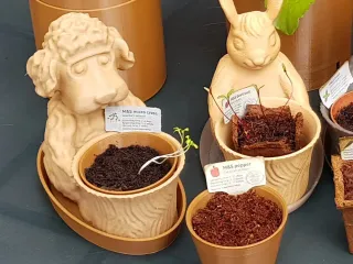 Dog the Gardener - Toy Pot Planter