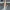 Team Fortress 2 Eyelender