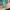 Steve und Alex aus Minecraft