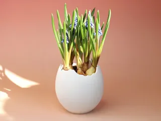 Cracked Eggshell Planter / Bowl